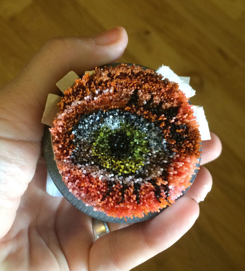 eye murrain