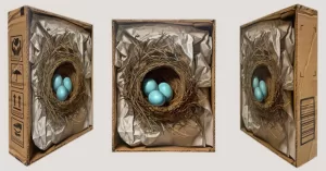 natalie featherston eggs in a nest painting